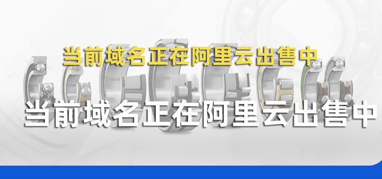 进口轴承